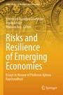 Cover: Risks and Resilience of Emerging Economies - Springer