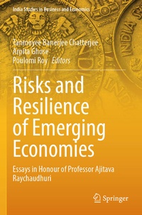 Enlarge image Cover: Risks and Resilience of Emerging Economies - Springer