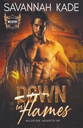 Cover: Down In Flames - Griffyn Ink Publishing
