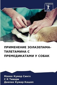 Enlarge image Cover: ?????????? ??????????-?????????? ? ????? - Sciencia Scripts
