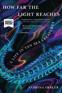 Abbildung von: How Far the Light Reaches - Back Bay Books