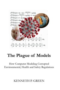Enlarge image Cover: The Plague of Models - Publishdrive