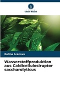 Cover: Wasserstoffproduktion aus Caldicellulosiruptor saccharolyticus - Verlag Unser Wissen