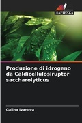 Cover: Produzione di idrogeno da Caldicellulosiruptor saccharolyticus - Edizioni Sapienza