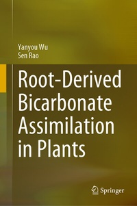 Abbildung von: Root-Derived Bicarbonate Assimilation in Plants - Springer