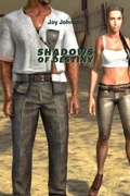 Cover: Shadows Of Destiny - Indokai LLC