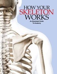 Abbildung von: How Your Skeleton Works - Amber Books