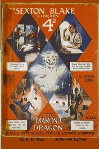 Enlarge image Cover: The Diamond Dragon - Stillwoods
