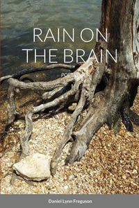 Enlarge image Cover: Rain on the Brain - Lulu.com