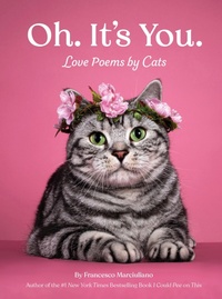 Abbildung von: Oh. It's You. - Chronicle Books LLC