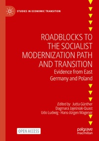 Enlarge image Cover: Roadblocks to the Socialist Modernization Path and Transition - Palgrave Macmillan
