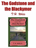 Cover: The Godstone and the Blackymor - Alien eBooks