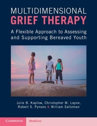 Abbildung von: Multidimensional Grief Therapy - Cambridge University Press