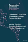 Cover: The Politics of Social Protection During Times of Crisis - Cambridge University Press