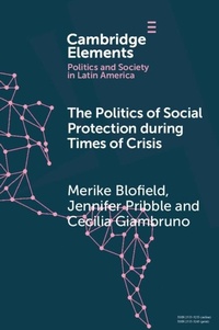 Abbildung von: The Politics of Social Protection During Times of Crisis - Cambridge University Press