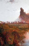 Cover: How the Earth Feels - Duke University Press