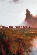Cover: How the Earth Feels - Duke University Press