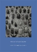 Cover: Three Stories by Dori Lumpkin 2023 - Ram Eye Press