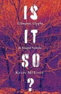 Cover: Is It So? Glimpses, Glyphs, & Found Novels - WTAW Press