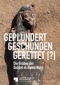 Cover: Gepl&uuml;ndert, Geschunden, Gerettet [?] - Schnell & Steiner