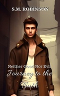 Cover: Neither Good Nor Evil - The Seaquel Publishing