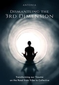 Cover: Dismantling the 3rd Dimension - Real Chimera Books