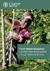 Abbildung von: Forest-based adaptation - Food & Agriculture Organization of the United Nations (FAO)