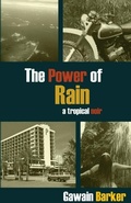 Cover: The Power of Rain - Bushbrother