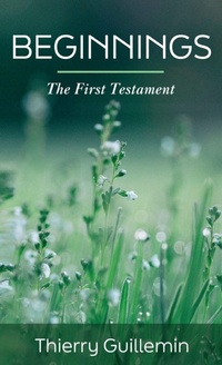 Enlarge image Cover: Beginnings - Resource Publications (CA)
