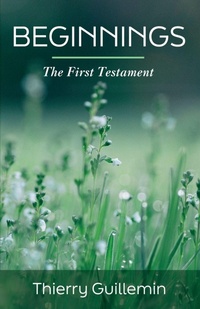 Enlarge image Cover: Beginnings - Resource Publications (CA)