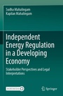 Cover: Independent Energy Regulation in a Developing Economy - Springer