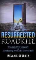 Cover: Resurrected Roadkill - Author Academy Elite
