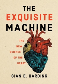Abbildung von: The Exquisite Machine - MIT Press