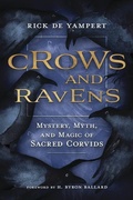 Cover: Crows and Ravens - Llewellyn Publications,U.S.