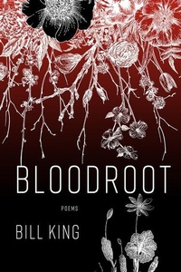 Enlarge image Cover: Bloodroot - Mercer University Press