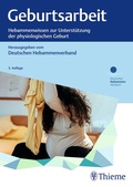 Cover: Geburtsarbeit - Thieme