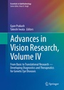 Cover: Advances in Vision Research, Volume IV - Springer