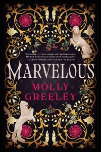 Enlarge image Cover: Marvelous - Collins