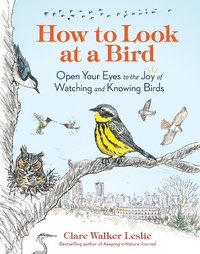 Bild: How to Look at a Bird - Storey Publishing, LLC