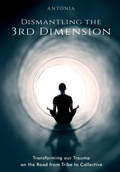 Cover: Dismantling the 3rd Dimension - Real Chimera Books