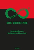 Cover: Parabolis Virtualis 3 - Querverlag