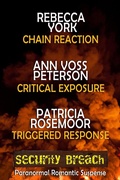 Cover: Security Breach (The Magic Trilogies) - Ann Voss Peterson