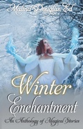 Cover: Winter Enchantment - Iridescent Words