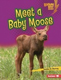 Cover: Meet a Baby Moose - Lerner Publications Co ,U.S.