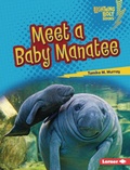 Cover: Meet a Baby Manatee - Lerner Publications Co ,U.S.