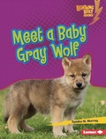Cover: Meet a Baby Gray Wolf - Lerner Publications Co ,U.S.