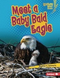 Cover: Meet a Baby Bald Eagle - Lerner Publications Co ,U.S.