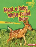 Cover: Meet a Baby White-Tailed Deer - Lerner Publications Co ,U.S.