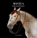 Cover: Mantua - Franco Maria Ricci Editore
