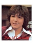 Cover: David Cassidy - Lulu.com